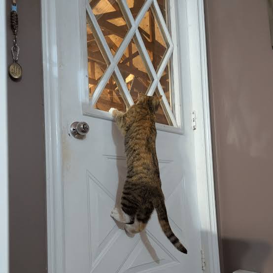 How To Open Garage Door In I Am Cat